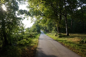 DSC08499