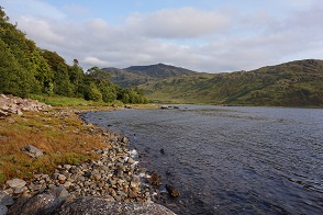 DSC08501