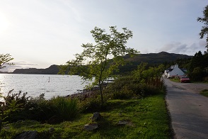 DSC08509