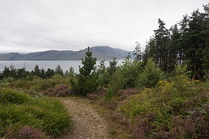 DSC08588
