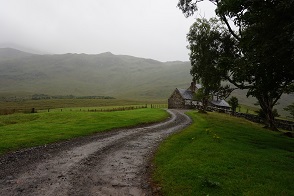 DSC08642