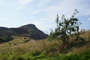 DSC08736