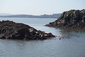 DSC09003