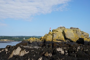 DSC09023
